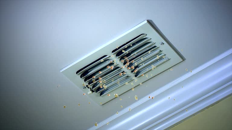 Best Affordable Air Duct Cleaning  in Smithville, MO